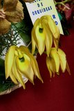 th_SOEM_2011_006.jpg