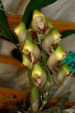 th_SOEM_2011_012.jpg