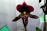 th_SOEM_2011_025.jpg