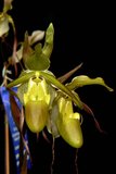 th_SOEM_2011_029.jpg