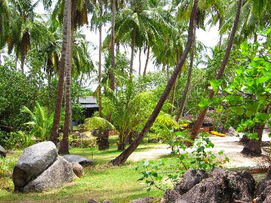 the-garden-at-sai-thong.jpg