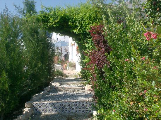 the-garden.jpg