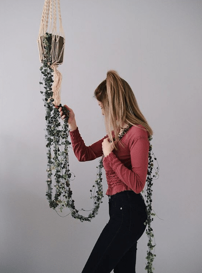 The-Lovely-String-of-Hearts-Succulent-%E2%80%93-Ceropegia-Woodii-sc-heartsnlady.png