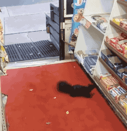 Theft.gif