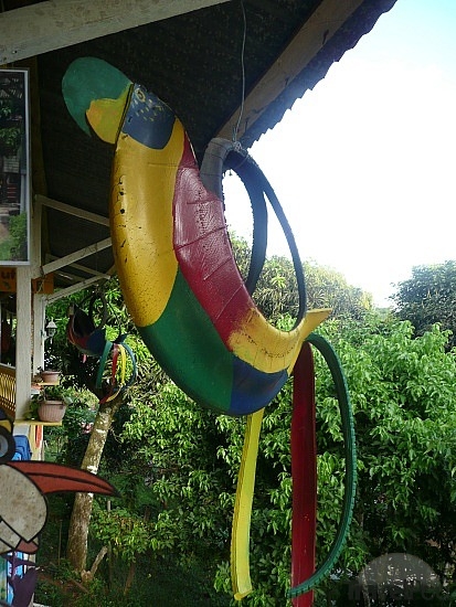 things-to-do-with-old-tires-bocas-del-toro.jpg