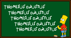 thomisus.jpg