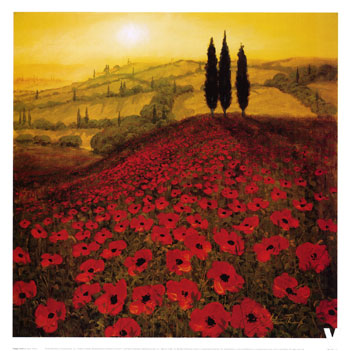thoms-steve-poppy-field-9947624.jpg