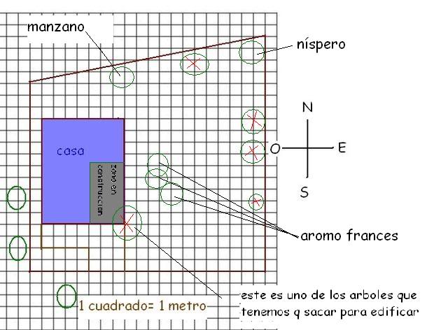 thplanito.jpg