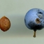 thumb.jpg