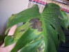 thumb_100_0167.JPG