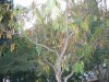 thumb_109_0952.JPG