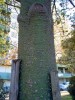 thumb_Copia%20de%20IM000452.JPG