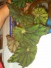 thumb_desconocida0001.JPG