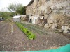thumb_dias-despues%7E0.jpg
