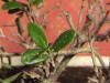thumb_DSC00020%7E0.JPG