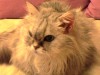 thumb_DSC00035.JPG
