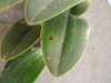 thumb_DSC00267.JPG