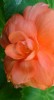 thumb_DSC00751_edited-1.jpg
