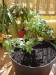 thumb_Dsc00802.jpg