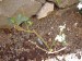 thumb_Dsc00804.jpg