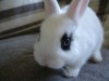 thumb_DSC00894.JPG