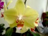 thumb_DSC01049.JPG