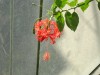 thumb_DSC01617.JPG