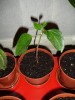thumb_DSC01764.JPG