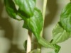 thumb_DSC02647.JPG