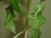 thumb_DSC02657.JPG