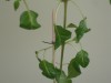 thumb_DSC02661.JPG