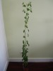 thumb_DSC02662.JPG