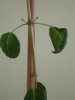 thumb_DSC02664.JPG