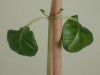 thumb_DSC02666.JPG