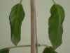 thumb_DSC02671.JPG
