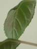 thumb_DSC02672.JPG