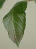 thumb_DSC02673.JPG
