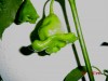 thumb_DSC02800.jpg