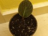thumb_DSC02891.JPG