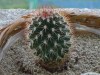 thumb_DSC03186.JPG
