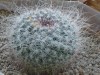 thumb_DSC03187.JPG