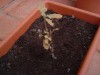 thumb_DSC03541.JPG