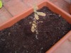 thumb_DSC03542.JPG
