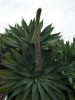 thumb_DSC03901%7E1.jpg