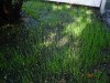 thumb_DSC08906.JPG