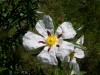 thumb_DSCN0077.JPG