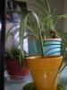 thumb_DSCN0709.JPG