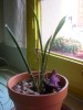 thumb_DSCN0710%7E0.JPG