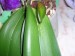 thumb_DSCN1013.jpg