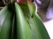 thumb_DSCN1018.jpg